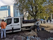 Sadzenie roślin przy placu Orląt Lwowskich