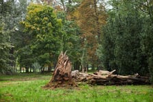 Park Popowicki we Wrocławiu