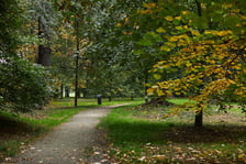 Park Popowicki we Wrocławiu