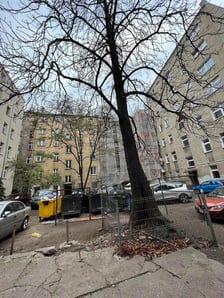 Tak obecnie wygląda podwórko pomiędzy ulicami: Paulińską, Pomorską, Nobla i Rydygiera na wrocławskim Nadodrzu