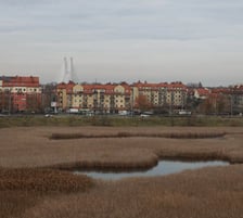 Działka ze stawem przy stadionie