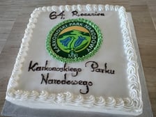 Urodzinowy tort z okazji 64. urodzin KPN-u