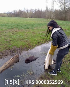 Akcja ratowania bobra w parku Wschodnim we Wrocławiu