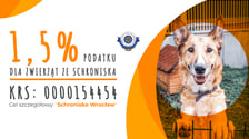 <p>Schronisko dla Bezdomnych Zwierząt TOZ we Wrocławiu pomaga kilku tysiącom porzuconych ps&oacute;w i kot&oacute;w rocznie. Zajmuje się zwierzętami domowymi, przede wszystkim psami i kotami, chociaż czasami pracownicy schroniska przyjmują także inne gatunki. To jedyne schronisko i największa organizacja tego typu w mieście - pomaga kilku tysiącom porzuconych ps&oacute;w i kot&oacute;w rocznie. Duża część podopiecznych to starsze bądź schorowane stworzenia, kt&oacute;re przed wydaniem do adopcji poddawane są leczeniu, pielęgnacji oraz sterylizacji.</p>
<p>Dzięki wsparciu, w ramach 1,5 procent, pracownicy schroniska mogą kupić m.in.: bardzo dobrą i potrzebną karmę specjalistyczną dla zwierząt, wyposażenie gabinetu weterynaryjnego - np. specjalistyczny i nowoczesny sprzęt pomagający ratować zwierzęta, leki dla podopiecznych, środki medyczne i wiele innych.</p>
<p><a href="https://www.schroniskowroclaw.pl/przekaz-1-podatku" target="_blank" rel="nofollow noopener">Wypełniając swoją deklarację umieść numer KRS Schroniska: 0000154454 oraz dopisek &bdquo;Dla Schroniska we Wrocławiu&rdquo;.</a></p>