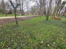 Ulica Dziwnowska na wrocławskich Kuźnikach