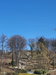 Arboretum Wojsławice