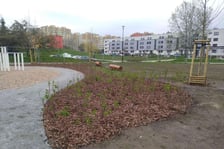 Plenerowa siłownia przy Bulwarze Ikara oraz labirynt obsadzony żywopłotem z grabów w parku Leonarda da Vinci na Gądowie Małym we Wrocławiu