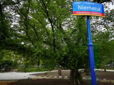 Trwają prace na skwerze Czesława Niemena na wrocławskim Przedmieściu Świdnickim
