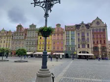Pelargonie na wrocławskim Rynku