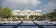 Wizualizacje zielonego placu Nowy Targ we Wrocławiu. Tak pięknie może być już w 2024 r.