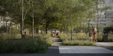 Wizualizacje zielonego placu Nowy Targ we Wrocławiu. Tak pięknie może być już w 2024 r.