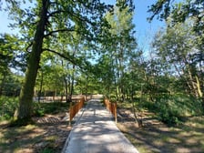Park Maślicki / zdjęcie archiwalne