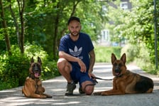 <p><strong>Pies w wielkim mieście. Zasady bezpieczeństwa. Najczęściej popełniane błędy wg psich trener&oacute;w z firmy Doglar</strong></p>
<p><strong>PO PIERSZE - BRAK KONTROLI NAD PSEM&nbsp;</strong></p>
<p>Brak smyczy w miejscach publicznych. Pies powinien być wyprowadzany na spacer pod opieką odpowiedzialnych dorosłych. Można go spuścić ze smyczy w jakimś odosobnionym miejscu, pod warunkiem, że nie jest agresywny i mamy absolutną pewność, że odpowiednio zareaguje na nasze przywołanie. Inna ważna rzecz to pilnowanie, by nie jadł niczego przypadkowego na spacerze. Wiele os&oacute;b opowiadało nam o tym, że ktoś zostawia na trawniku kiełbasy z gwoździami, bo nie przepada za psami. A to się może skończyć tragicznie. Można nauczyć psa, by nie jadł niczego przypadkowego na spacerze. Nie powinno się też zostawiać go przed sklepem czy innym tego typu miejscem publicznym. Właściciel nie ma wtedy nad nim kontroli.</p>