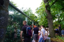Międzynarodowy Dzień Pantery Mglistej we wrocławskim zoo