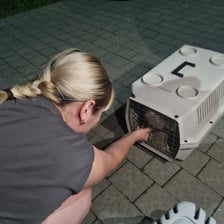 Zwierzęta przywiezione przez wolontariuszy z obwodu chersońskiego
