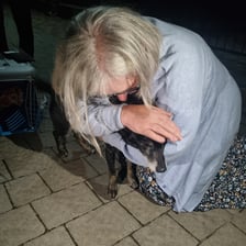 Zwierzęta przywiezione przez wolontariuszy z obwodu chersońskiego