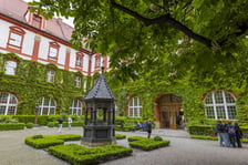 kasztanowiec na dziedzińcu Ossolineum
