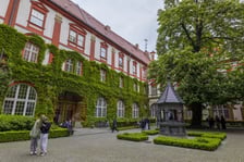 kasztanowiec na dziedzińcu Ossolineum