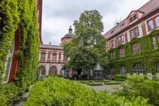 kasztanowiec na dziedzińcu Ossolineum