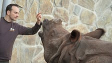 Praca w zoo wymaga odpowiedniego przygotowania