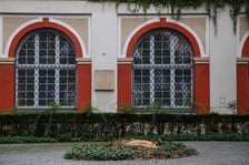 Dziedziniec Ossolineum, na którym rósł ponad stuletni kasztanowiec