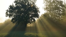 Wschód słońca na łące w pobliżu Jazu Opatowice