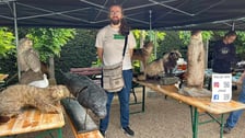 Piknik Paleontologiczny we wrocławskim Ogrodzie Botanicznym