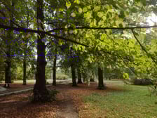 Park Skowroni, październik 2023