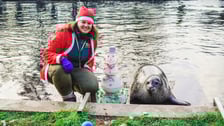 Opiekun zwierząt z zoo Wrocław. Milena Korzeluch, Wydział Ssaków Drapieżnych