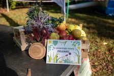 Uczestnicy pikniku WROśnij we WROcław