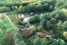 Arboretum Leśne