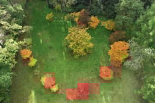 Arboretum Leśne
