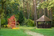 Arboretum Leśne