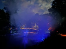 Nocne iluminacje w Ogrodzie Botanicznym