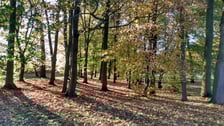 Park Biskupiński