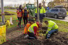 Wzdłuż ulicy Kosmonautów powstaje szpaler klonów. Duże drzewa o średnicy ponad 30 centymetrów, wysokie na 4,5-5 metrów, sadzone są od skrzyżowania z Fieldorfa i 11 Listopada do skrzyżowania z al. Architektów.