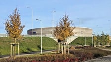 Drzewa posadzone w pobliżu Tarczyński Arena.