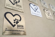 Wyniki plebiscytu „Wrocławskie Serce dla Zwierząt 2023”