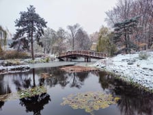 <p>Zimowe, weekendowe spacery po Ogrodzie Botanicznym ruszają 13 stycznia 2024</p>