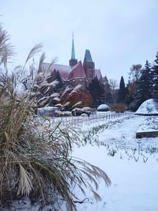 <p>Ogr&oacute;d Botaniczny zimą wygląda pięknie.&nbsp;</p>