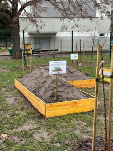 Ogródki warzywne we wrocławskich przedszkolach, które powstały w 2023 r. - projekt FOODSHIFT 2030
