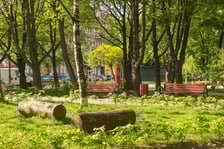 <p>Koszt inwestycji: 13,4 mln zł</p>
<p class="c-lead" data-lead=""><a href="https://www.wroclaw.pl/zielony-wroclaw/grow-green-na-olbinie-we-wroclawiu-co-powstalo-wideo" target="_blank" rel="noopener">Zielona ulica Daszyńskiego i siedem park&oacute;w kieszonkowych - tak zmienił się Ołbin w ramach realizowanego we Wrocławiu projektu Grow Green.</a> Jest on odpowiedzią na postępujące zmiany klimatu, jak fale upał&oacute;w, susze, gwałtowne ulewy i silne wiatry. Żeby im przeciwdziałać do miast wprowadza się tzw. błękitno-zieloną infrastrukturę.</p>