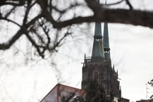Zimowe spacery po wrocławskim Ogrodzie Botanicznym