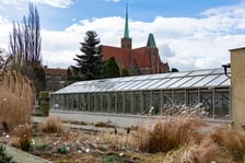 Ogród Botaniczny zimą