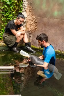 Najmłodszy manat w naszym zoo