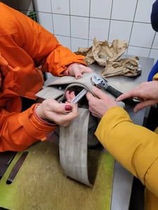 Zajęcia praktyczne studentów we wrocławskim zoo
