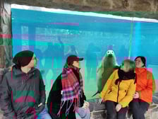 Zajęcia praktyczne studentów we wrocławskim zoo