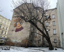 <p>Kasztanowiec na skwerze przy ul. Dąbrowskiego będzie miał lepsze warunki</p>