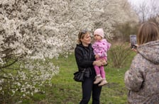 <p>Park Krzycki już gotowy. Mieszkańcy już z niego korzystają</p>