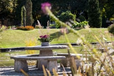 <p>Wrocławski Ogr&oacute;d Botaniczny otwiera się już 1 kwietnia. I to nie prima aprilis.&nbsp;</p>